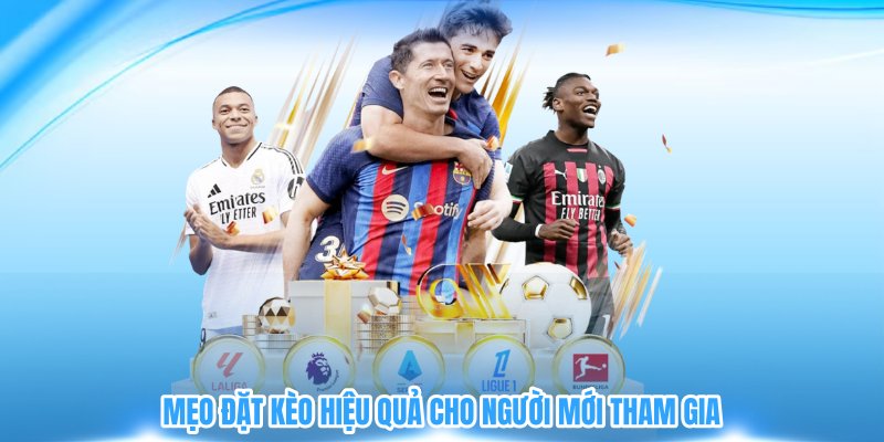 Mẹo đặt kèo hiệu quả cho người mới tham gia